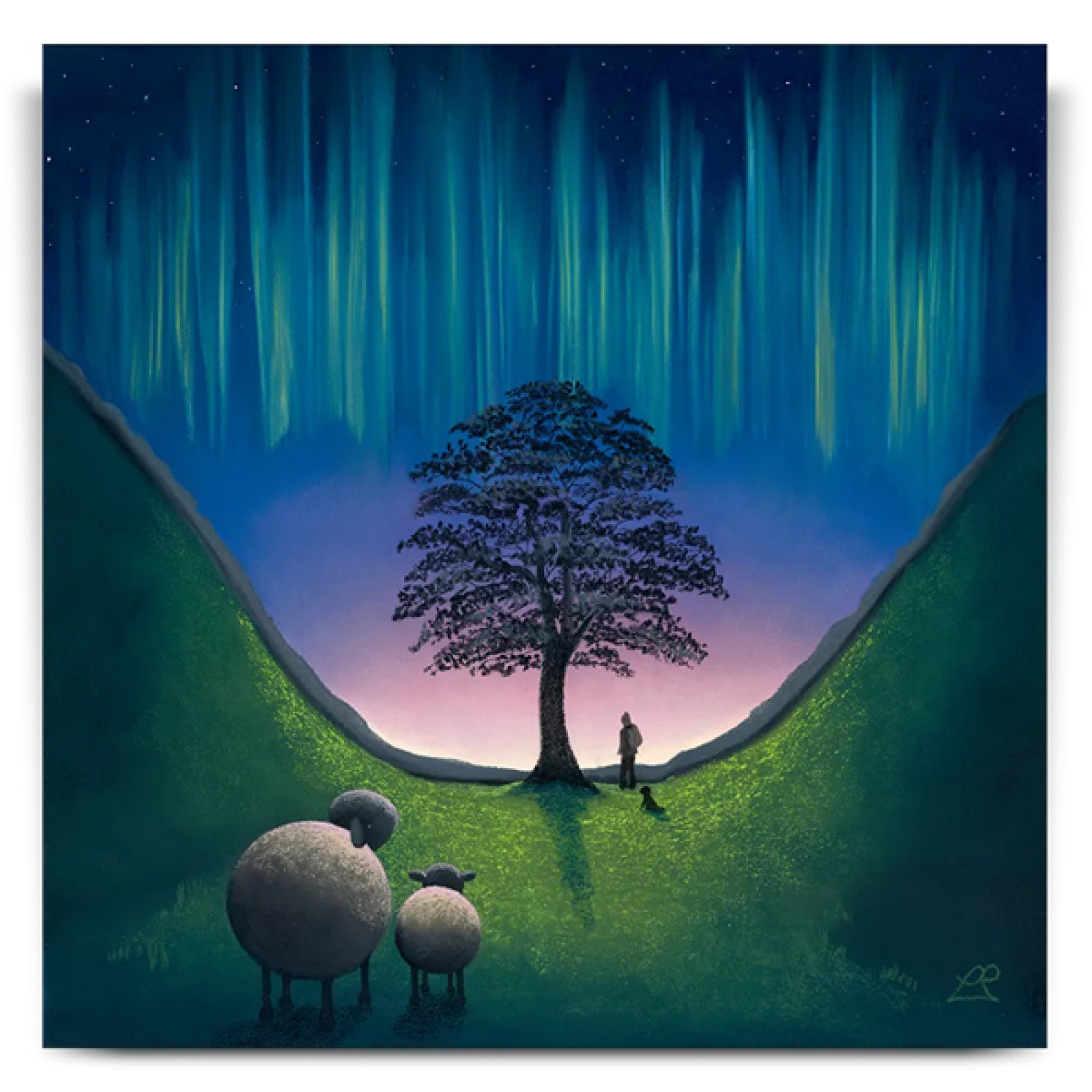 Yorkshire Artist Lucy Pittaway on Sycamore Gap Tree, Northern Lights